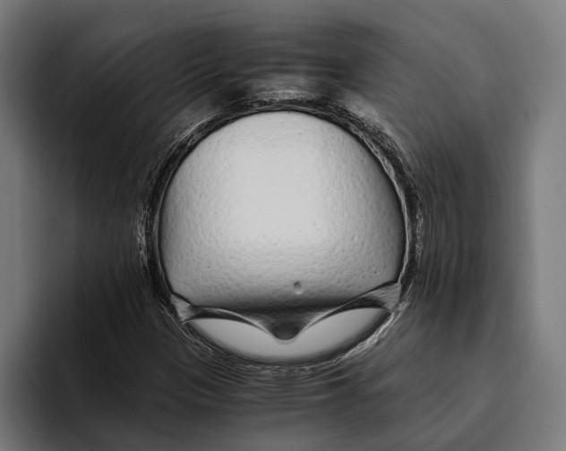 X0000094081305200711161559