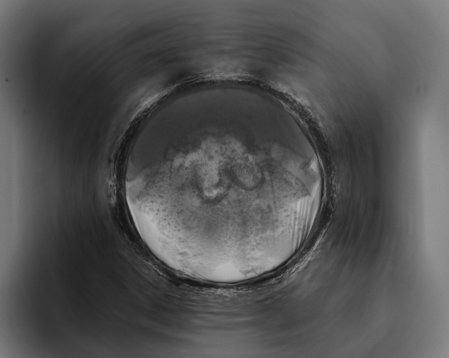 X0000094081306200711161559