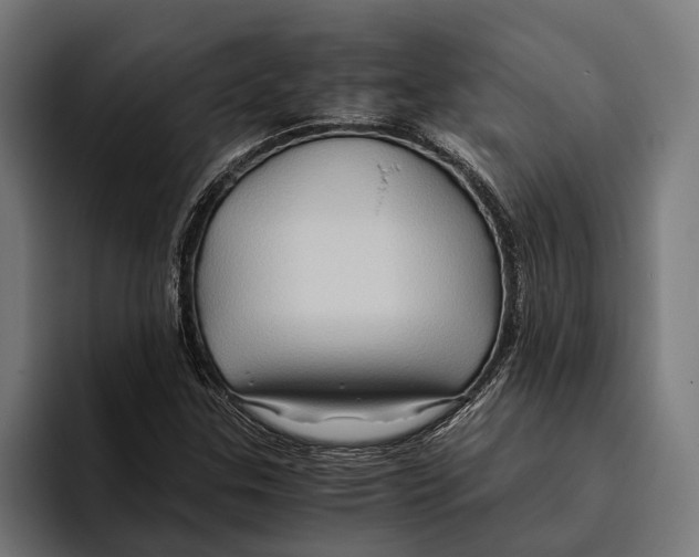 X0000094081307200711161559
