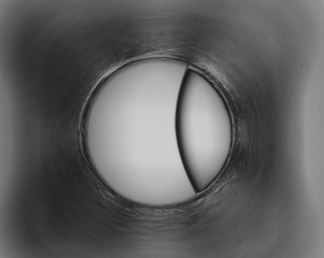 X0000094081308200711161559