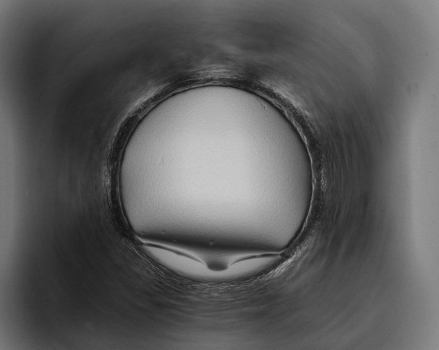 X0000094081309200711161559