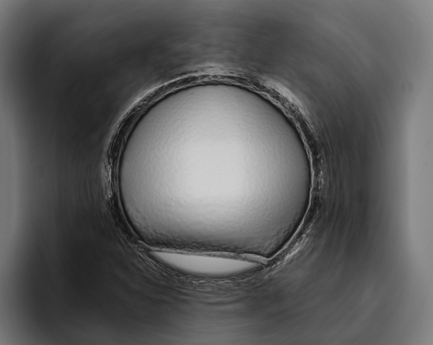 X0000094081310200711161559