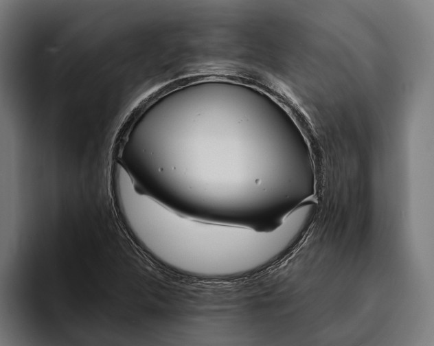 X0000094081312200711161559