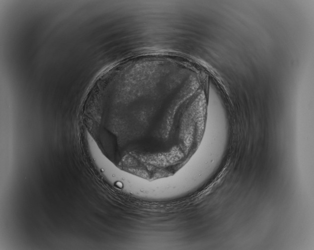 X0000094081314200711161559