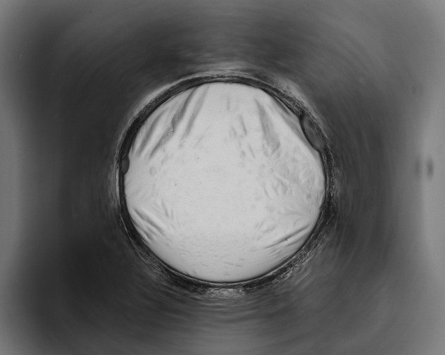 X0000094081320200711161559