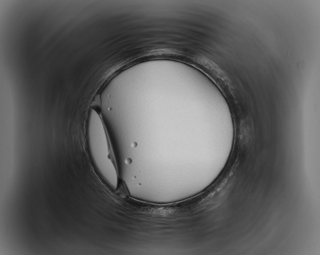 X0000094081321200711161559