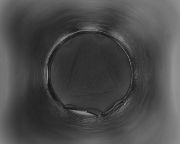X0000094081323200711161559