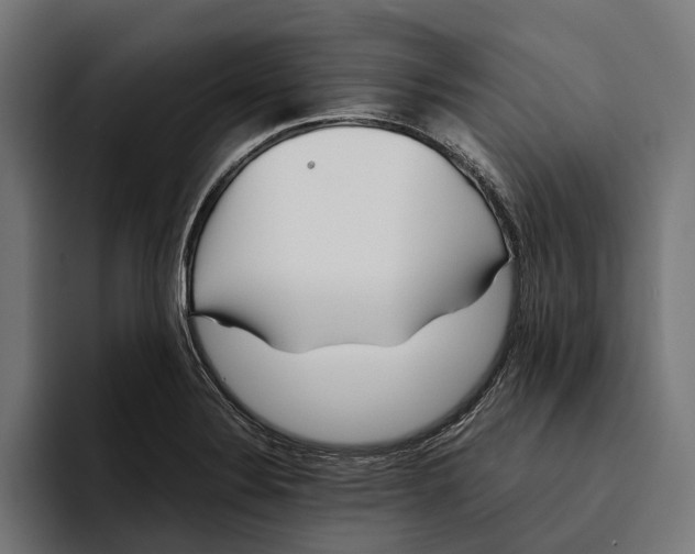 X0000094081324200711161559