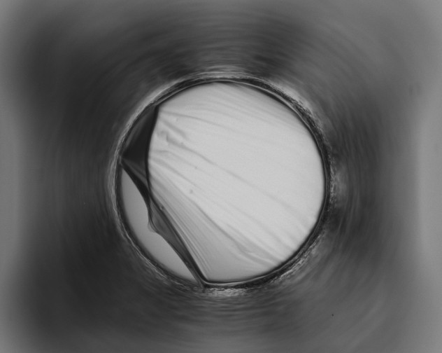 X0000094081325200711161559