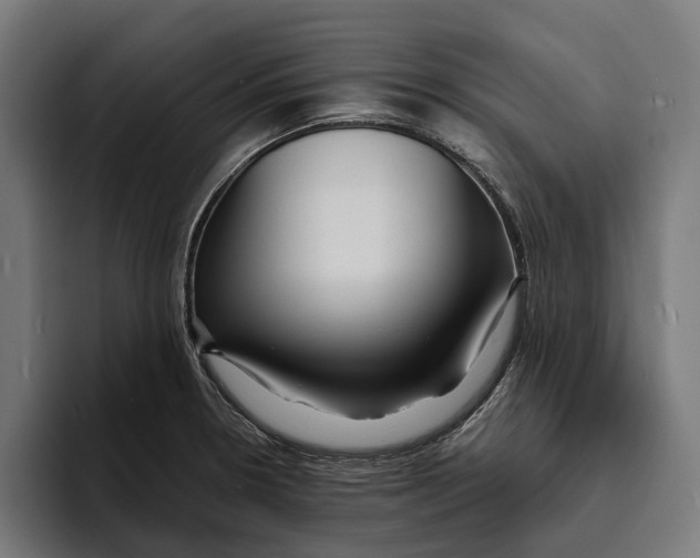 X0000094081330200711161559
