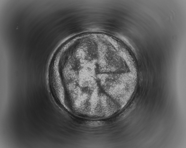 X0000094081331200711161559