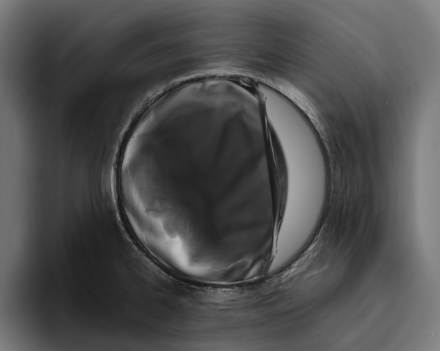 X0000094081334200711161559