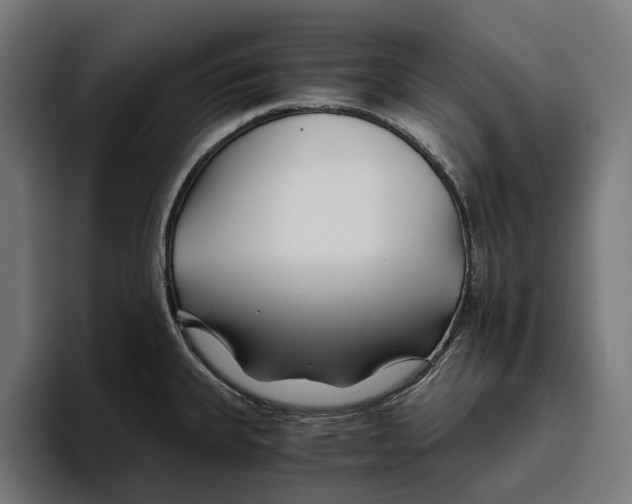 X0000094081335200711161559