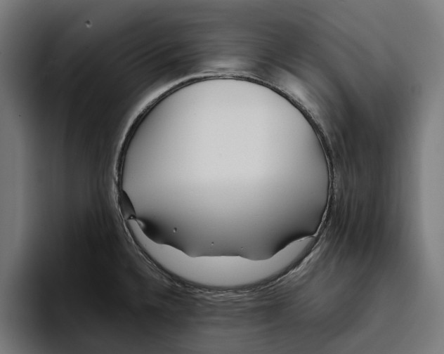 X0000094081336200711161559