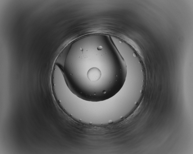 X0000094081338200711161559