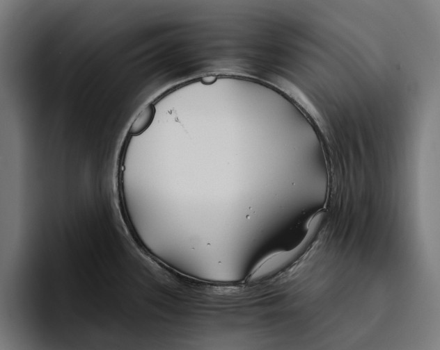 X0000094081339200711161559