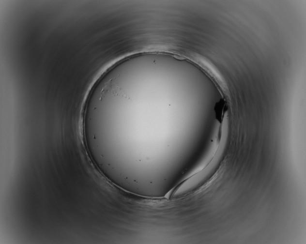 X0000094081340200711161600