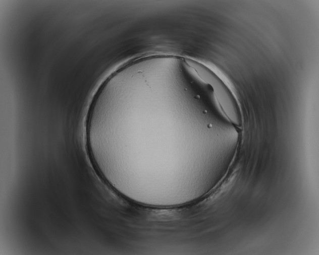 X0000094081341200711161600
