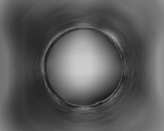 X0000094081342200711161600