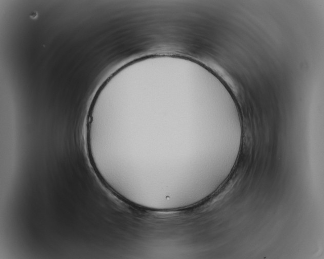 X0000094081343200711161600