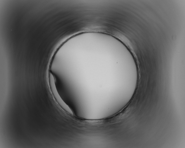 X0000094081344200711161600