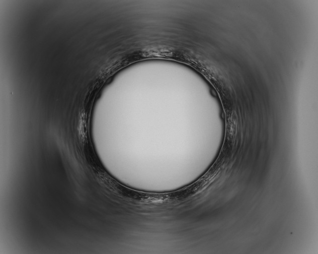 X0000094081346200711161559
