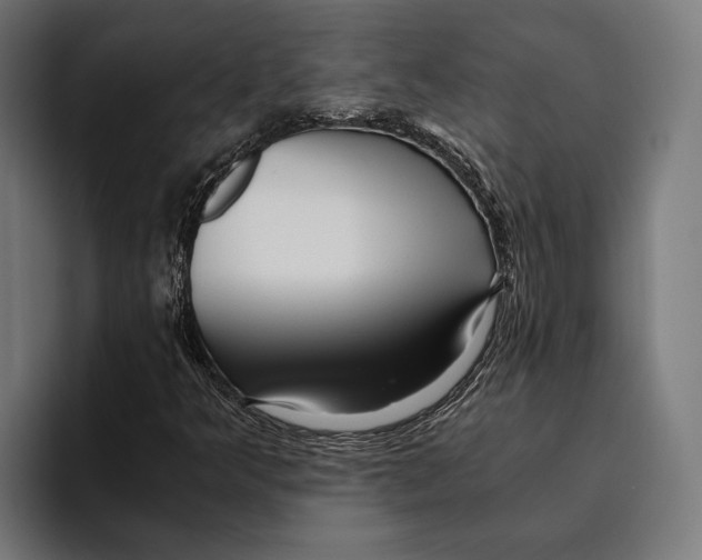 X0000094081349200711161559