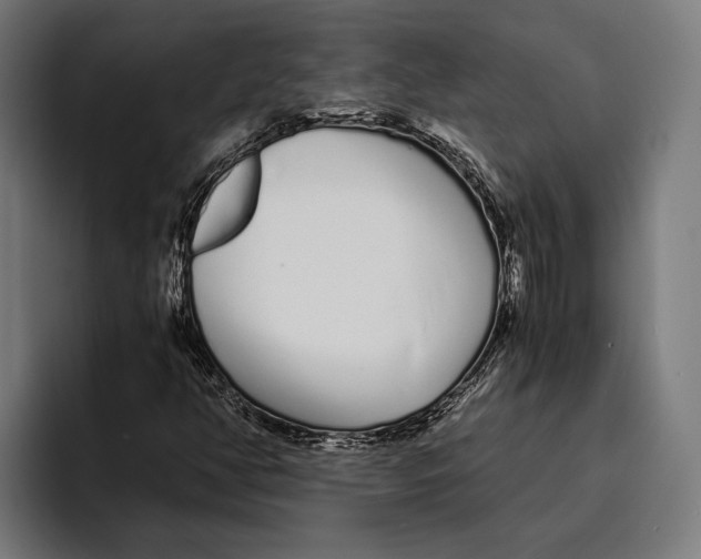 X0000094081350200711161559