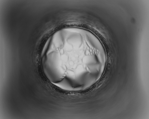 X0000094081351200711161559