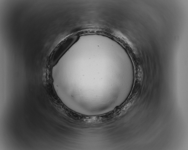 X0000094081352200711161559