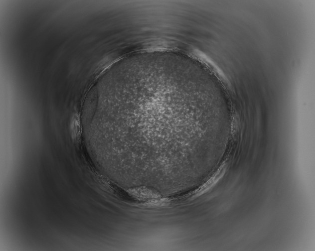 X0000094081353200711161559