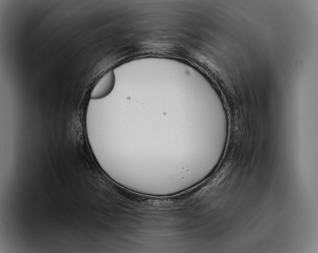 X0000094081354200711161559