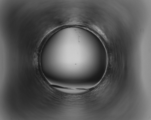 X0000094081356200711161559