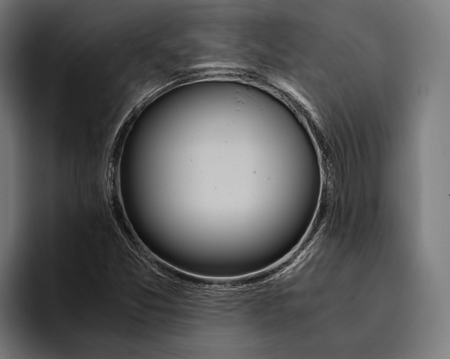 X0000094081357200711161559