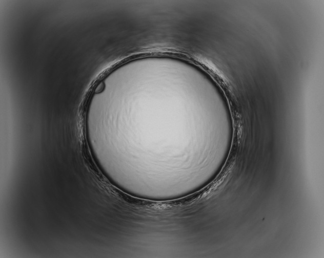 X0000094081358200711161559