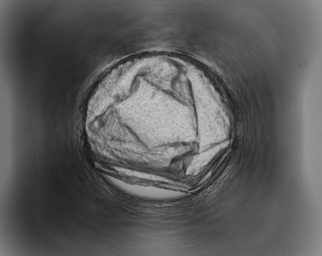 X0000094081359200711161559