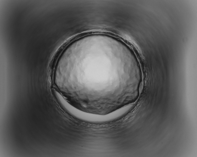 X0000094081360200711161559