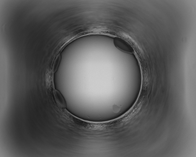 X0000094081361200711161559