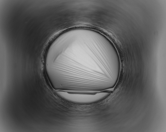 X0000094081363200711161559