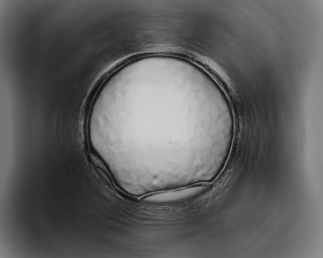 X0000094081364200711161559