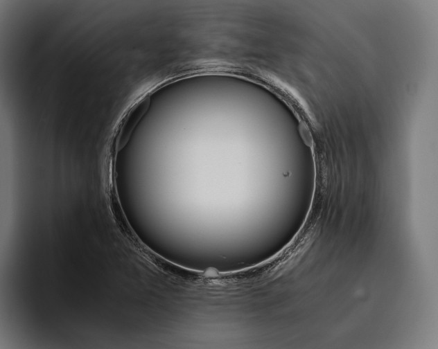 X0000094081365200711161559