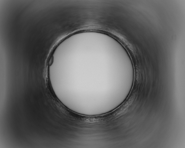 X0000094081366200711161559