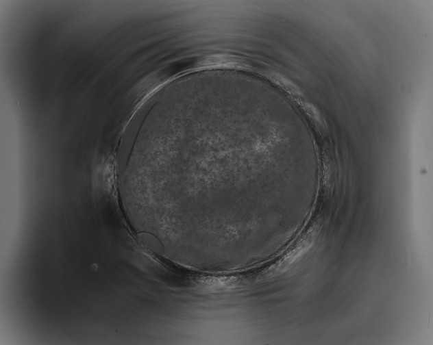 X0000094081369200711161559