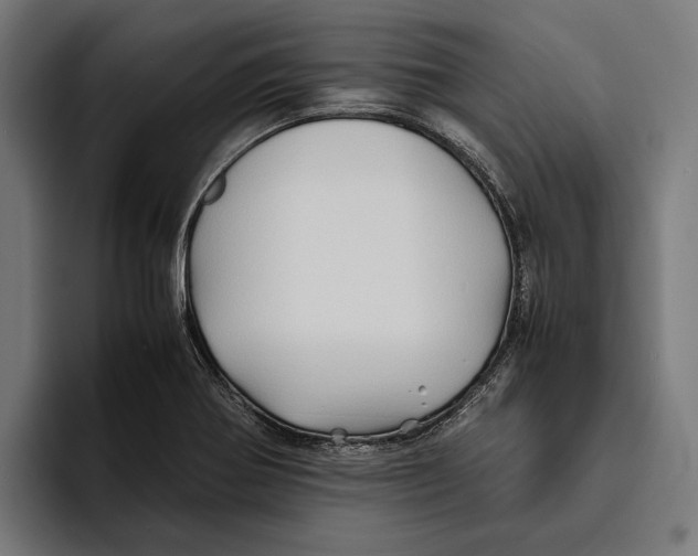 X0000094081370200711161559