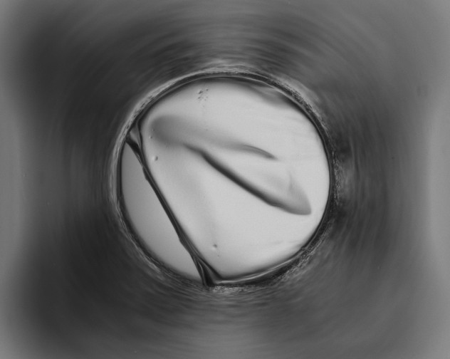X0000094081371200711161559