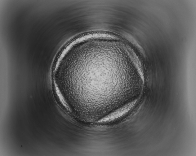 X0000094081372200711161559