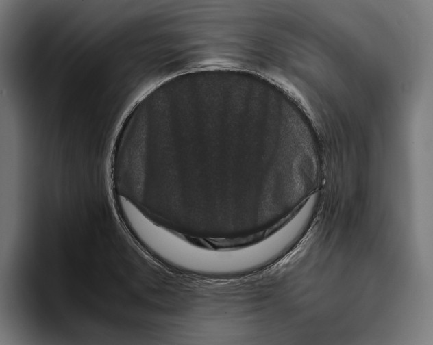 X0000094081373200711161559