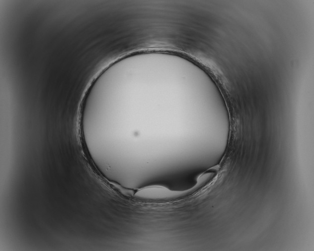 X0000094081374200711161559
