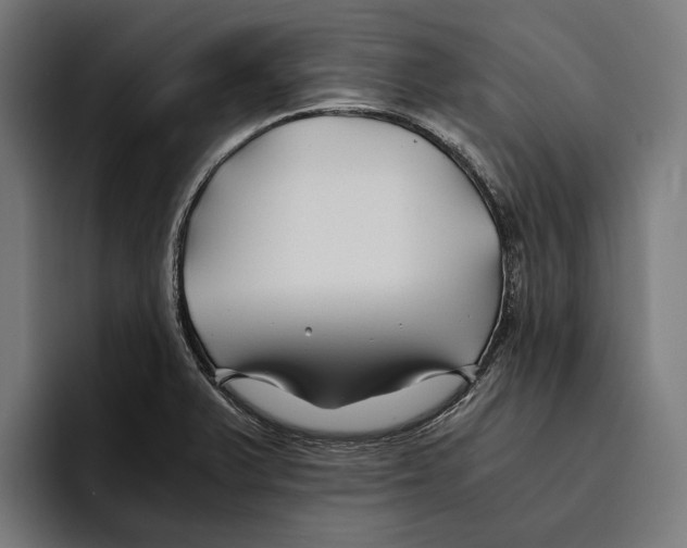 X0000094081375200711161559