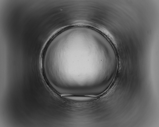 X0000094081376200711161559